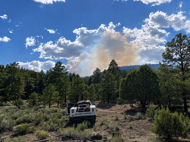 Smoke plume from the Bear Fire rises above a forested area in the Gila National Forest as a firefighting vehicle sits in the foreground.