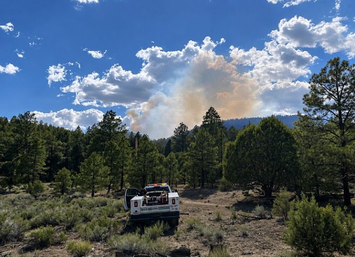 Smoke plume from the Bear Fire rises above a forested area in the Gila National Forest as a firefighting vehicle sits in the foreground.