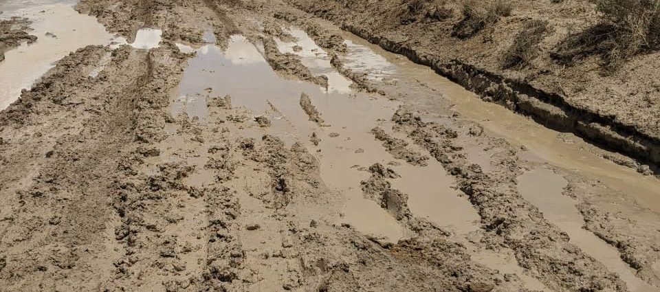 Deep tire ruts in a muddy dirt road on BLM-managed public land in Southern New Mexico.