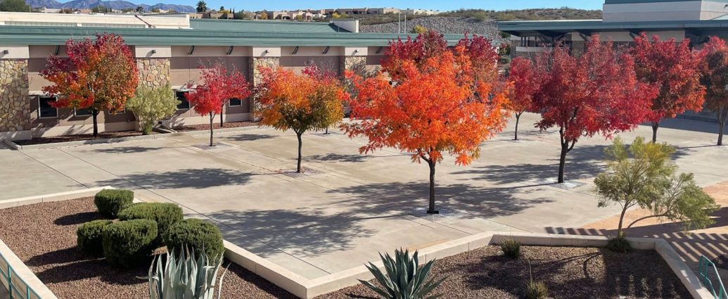 Calling those interested in the film industry! Doña Ana Community College (DACC) is hosting a free training session for production assistants.