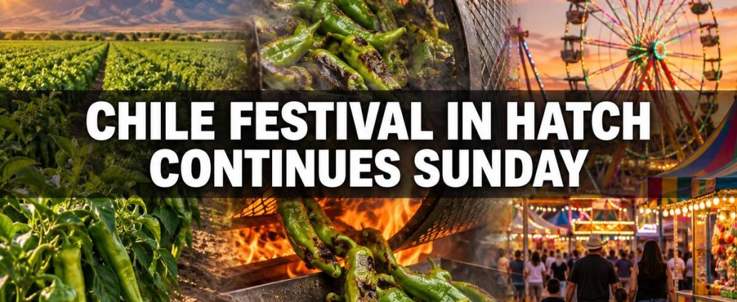 A blended illustration showing Hatch chile fields, roasting green chile and carnival rides during the Hatch Chile Festival.