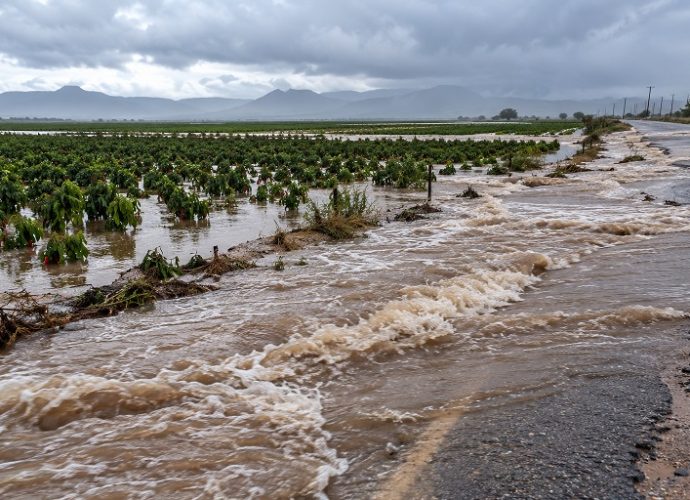 Doña Ana County flooding prompts disaster declaration following heavy rainfall