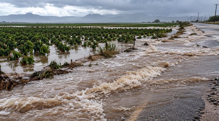 Doña Ana County flooding prompts disaster declaration following heavy rainfall