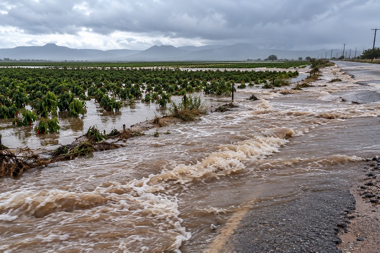 Doña Ana County Commissioners Approve Disaster Declaration Following Widespread Flooding